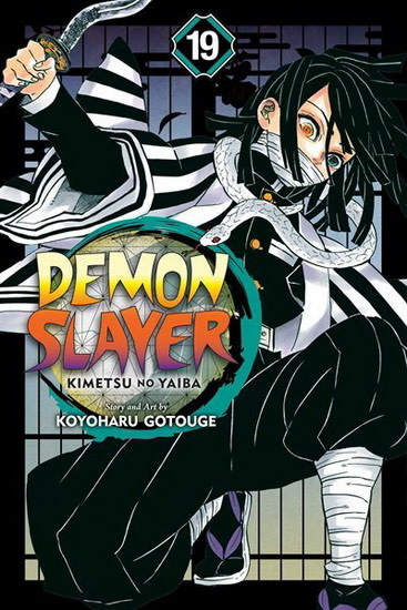 Panini Manga Manga - Demon Slayer Tome 19