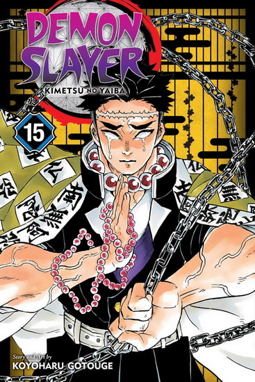 Panini Manga Manga - Demon Slayer Tome 15