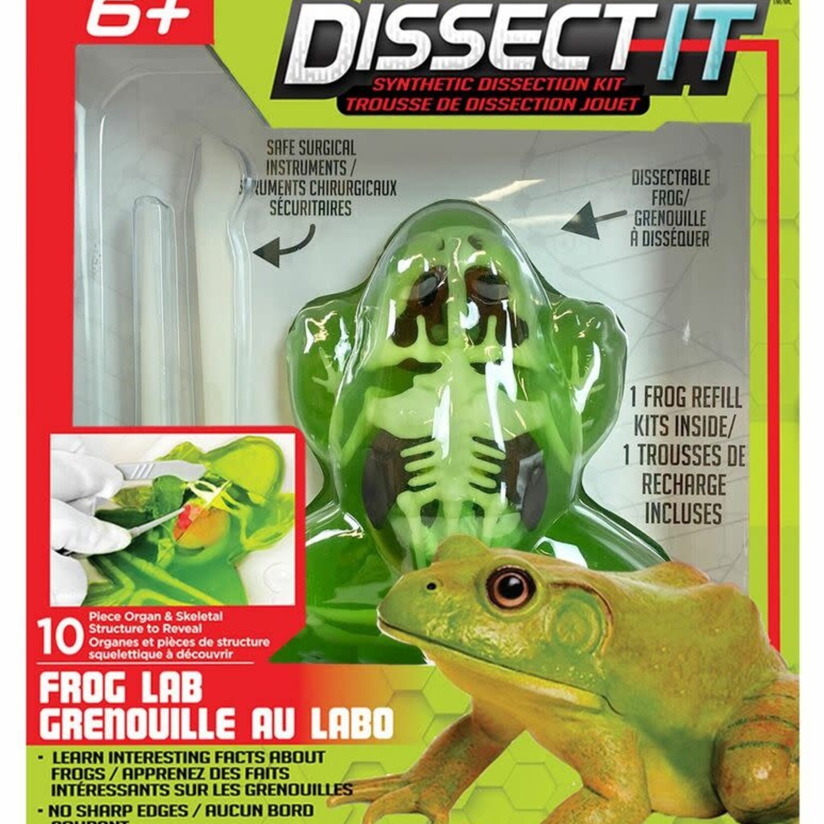 Red Planet Dissect It Trousse de dissection Jouet Grenouille au Labo