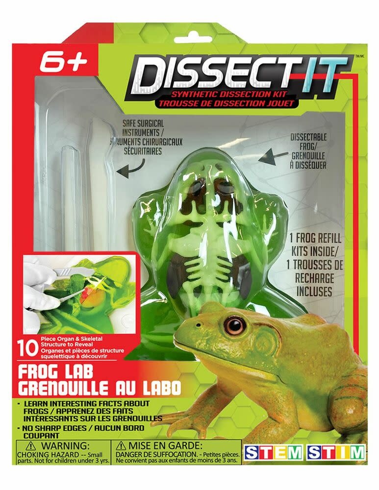 Red Planet Dissect It Trousse de dissection Jouet Grenouille au Labo