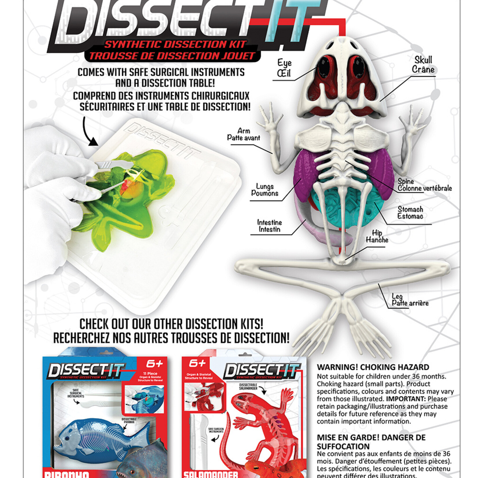 Red Planet Dissect It Trousse de dissection Jouet Grenouille au Labo