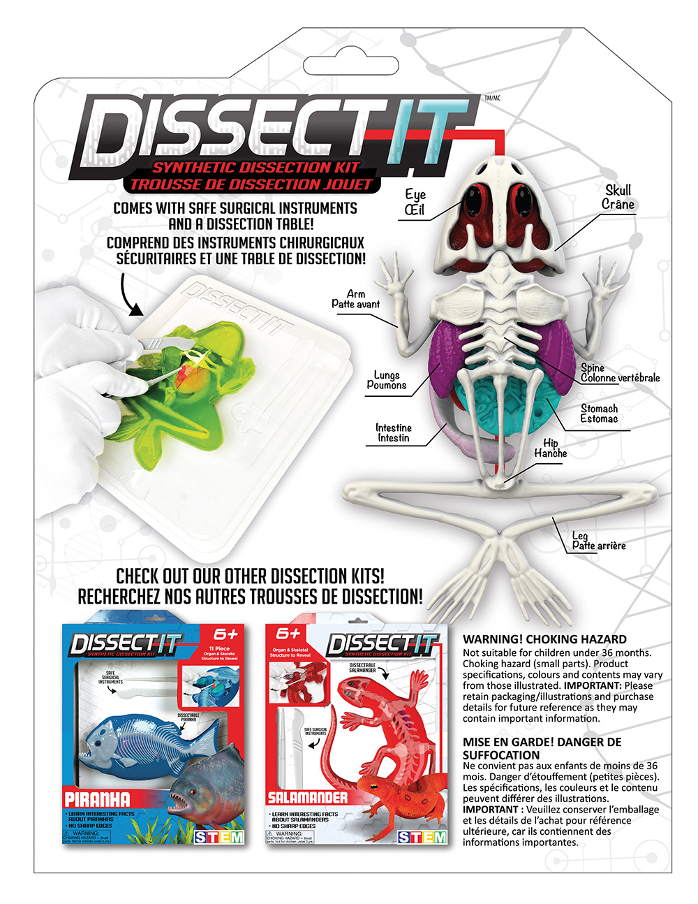 Red Planet Dissect It Trousse de dissection Jouet Grenouille au Labo