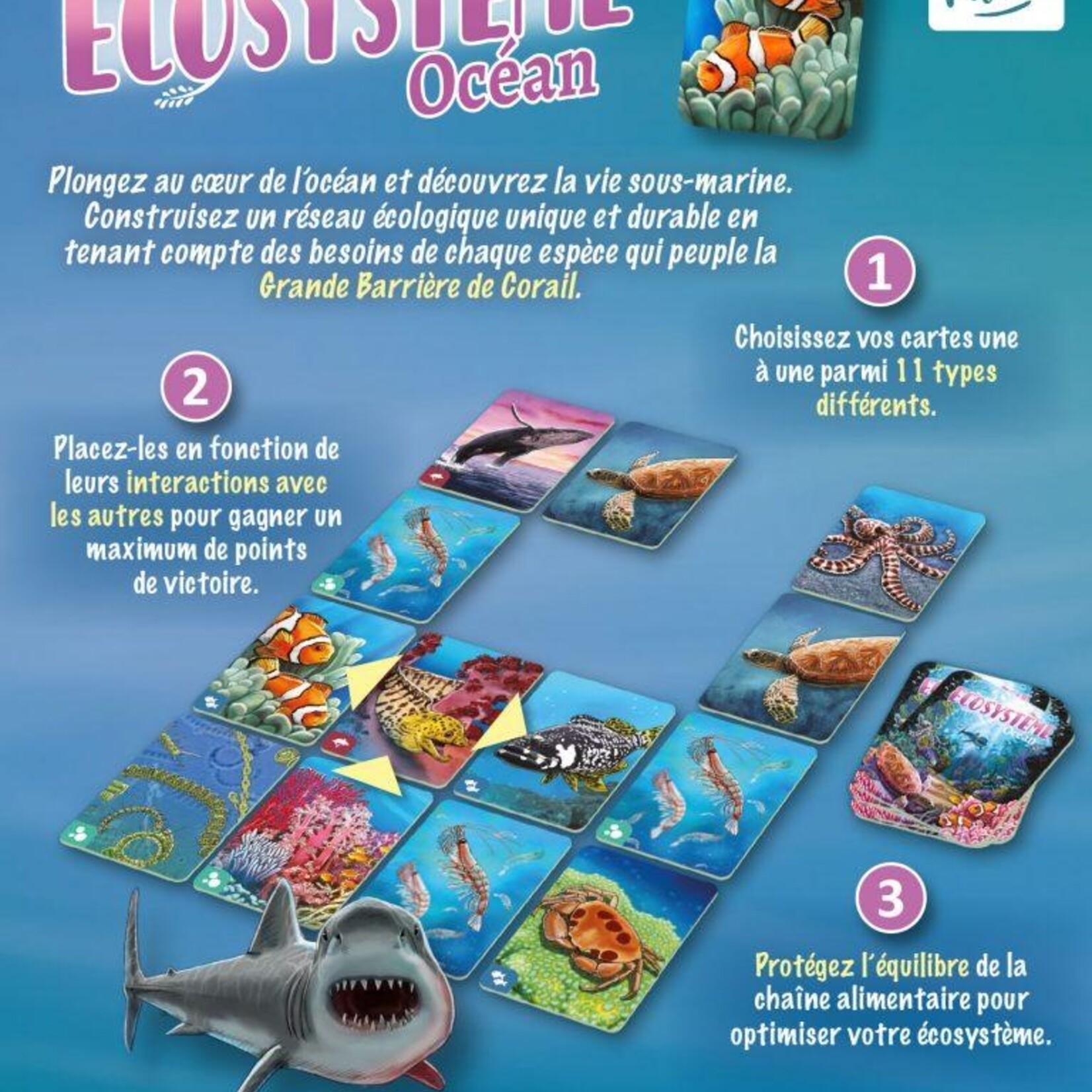 OriGames Écosystème Océean