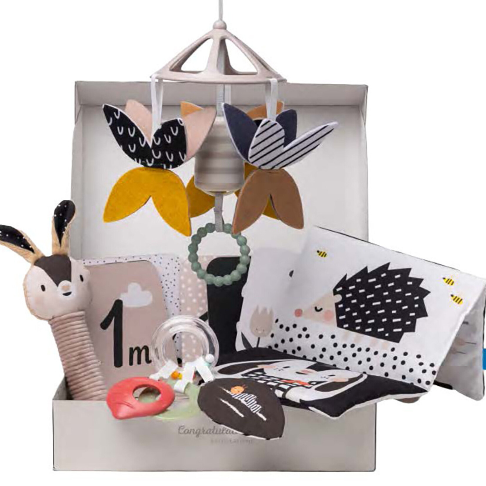 Taf Toys Taf Toys - Bienvenue Bébé - Kit Naissance Noir et Blanc
