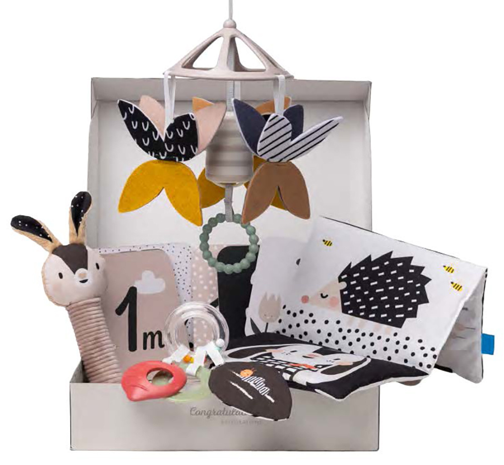 Taf Toys Taf Toys - Bienvenue Bébé - Kit Naissance Noir et Blanc