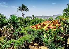 Ravensburger Ravens 1000 - Beautiful Gardens - Le jardin botanique de Madeira (Portugal)