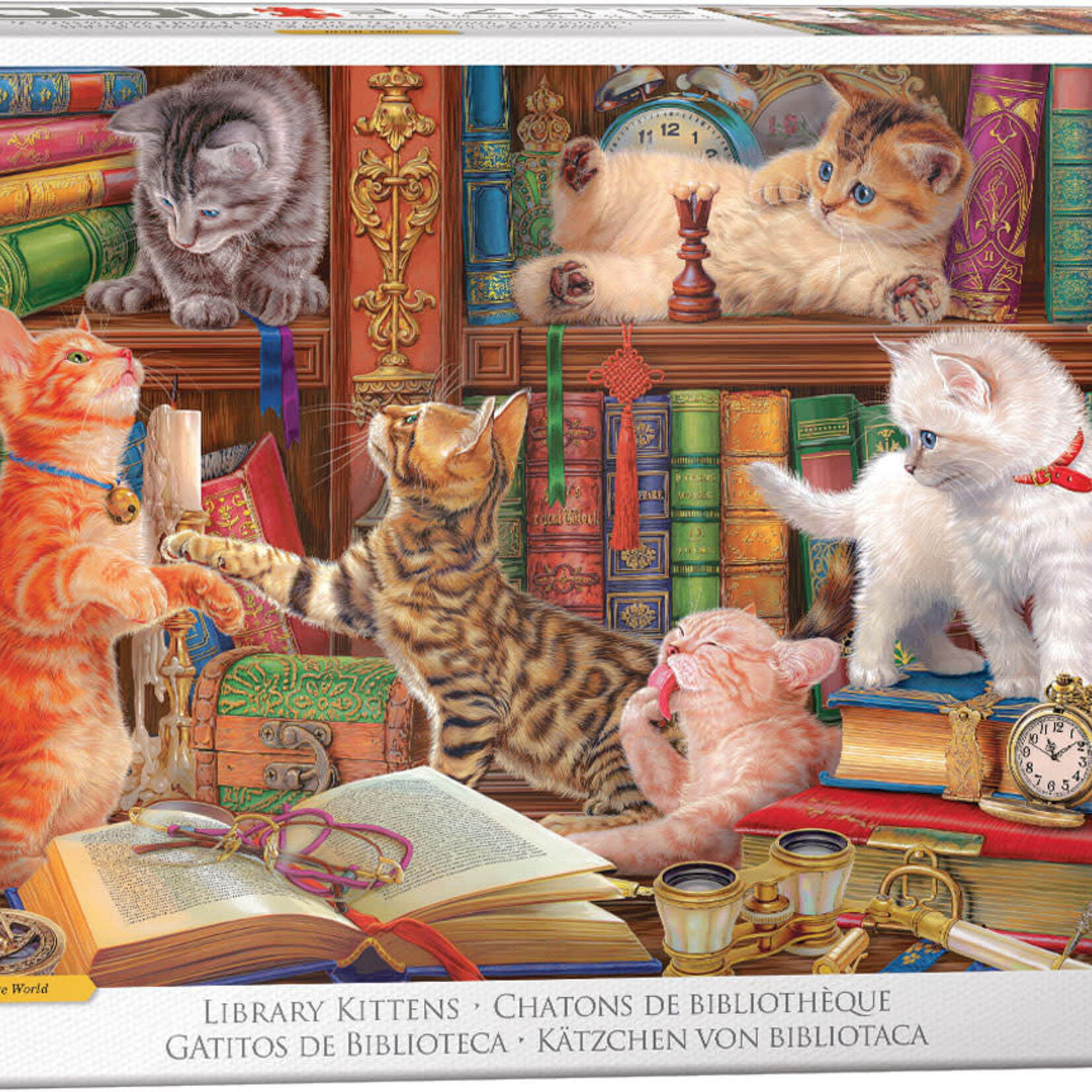 Eurographics Eurographics 1000 - Chatons de bibliothèque
