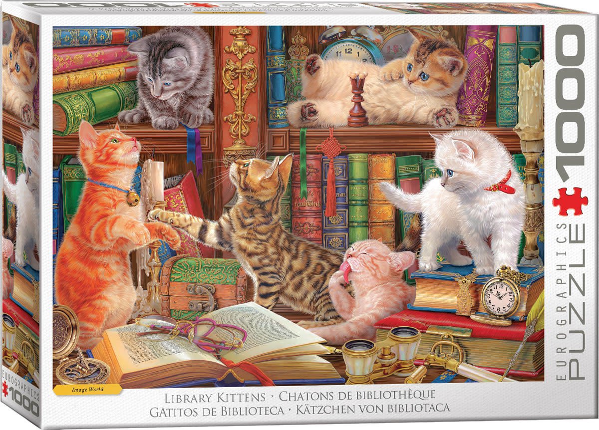 Eurographics Eurographics 1000 - Chatons de bibliothèque