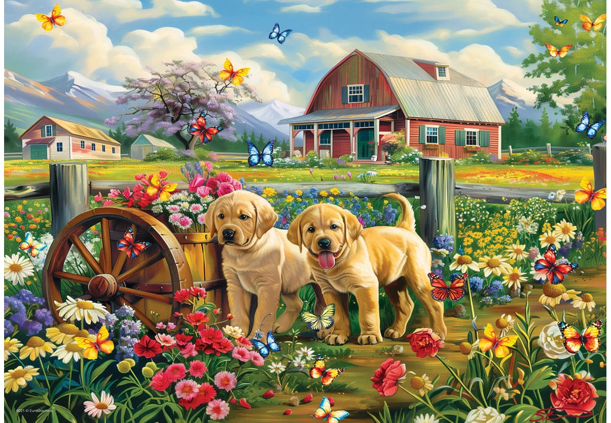 Eurographics Eurographics 48 - Printemps de chiots