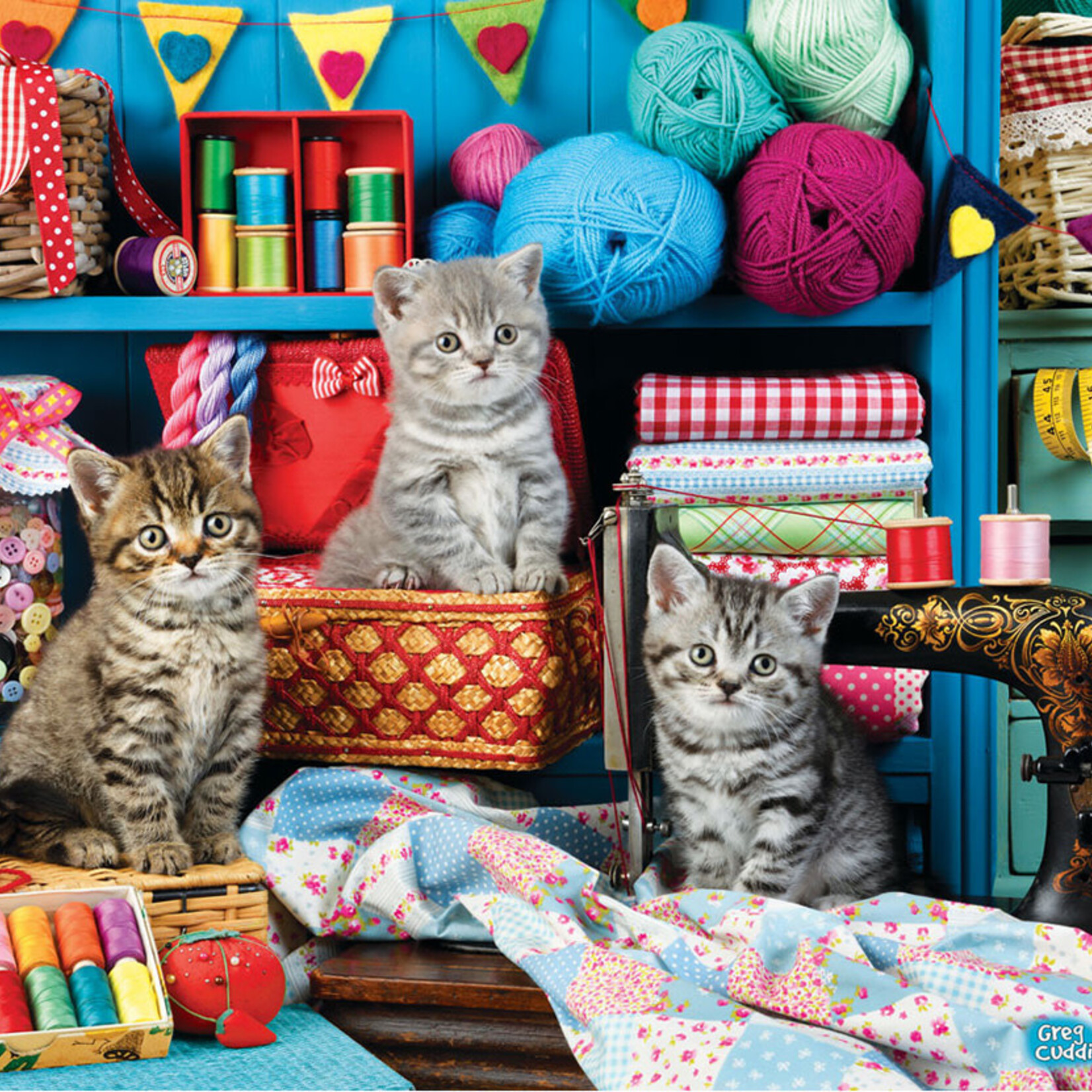 Eurographics Eurographics 48 - chatons de la salle de couture