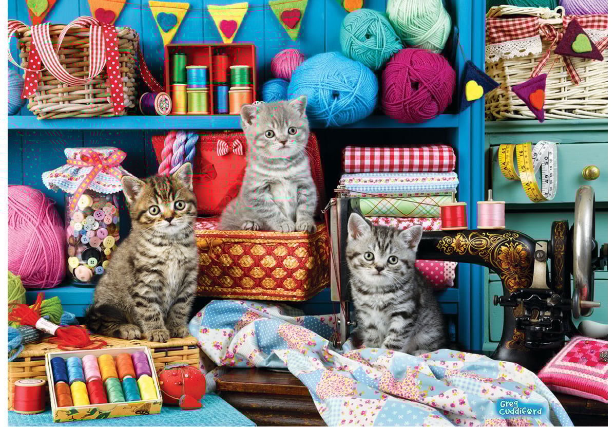 Eurographics Eurographics 48 - chatons de la salle de couture