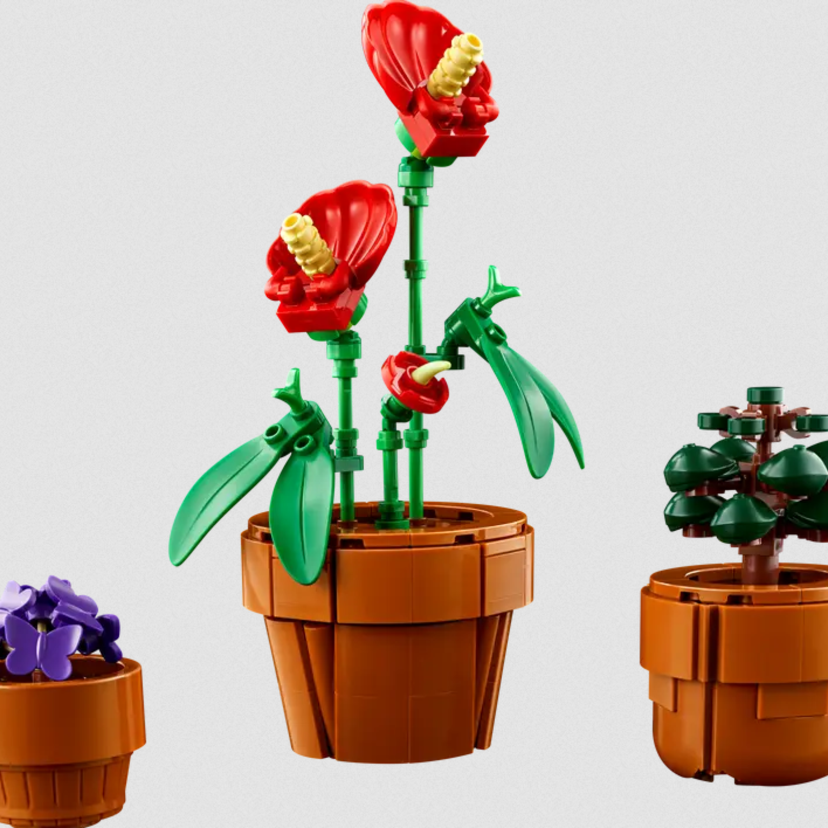 Lego Lego 10329 Botanicals - les plantes miniatures