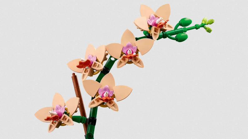 Lego Lego 10343 Botanicals - L’orchidée miniature