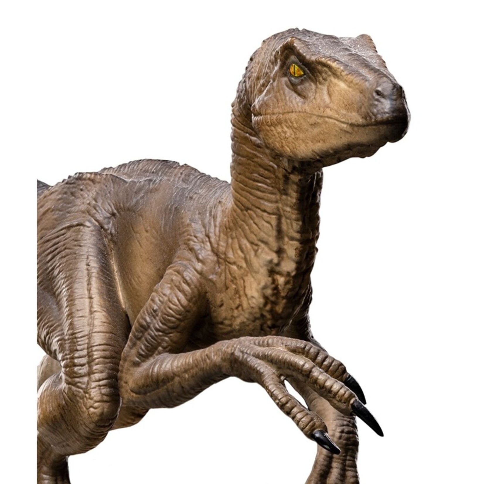 Iron Studio Iron Studio - Jurassic Parc Velociraptor B