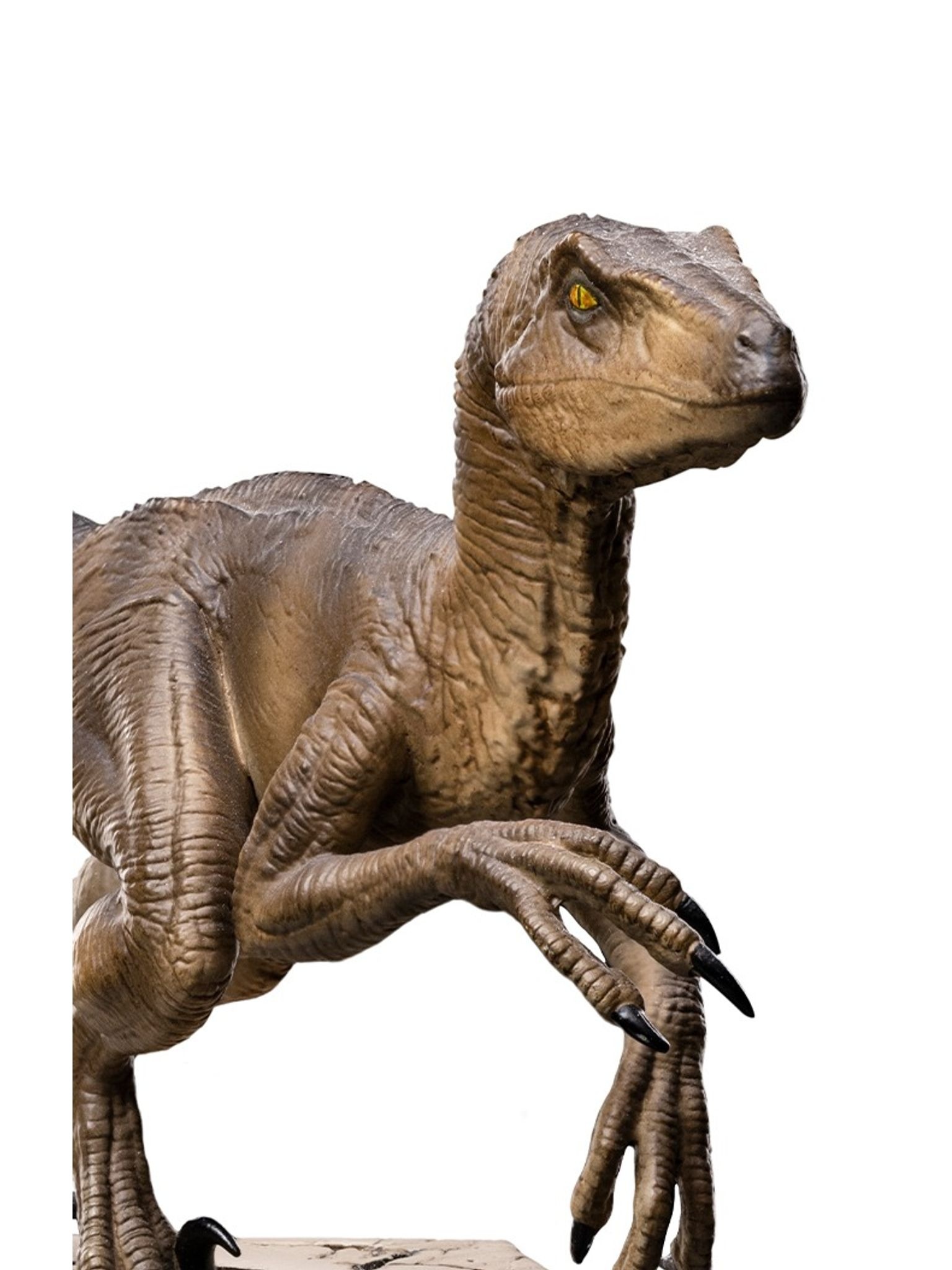 Iron Studio Iron Studio - Jurassic Parc Velociraptor B