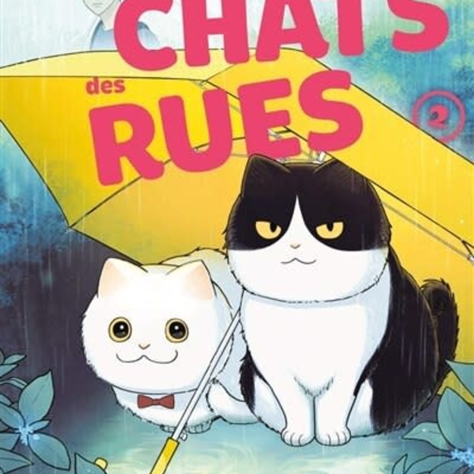 Doki Doki Manga - Hachi et Maruru Chats des rues Tome 02