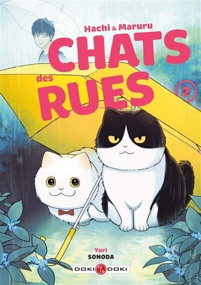 Doki Doki Manga - Hachi et Maruru Chats des rues Tome 02
