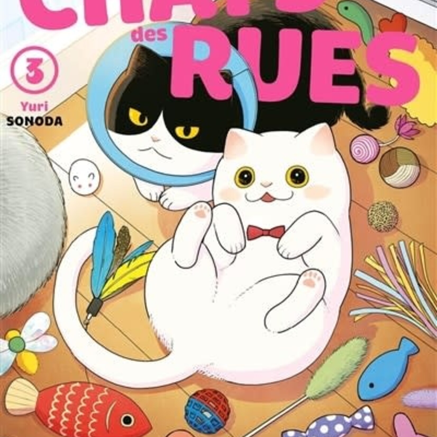 Doki Doki Manga - Hachi et Maruru Chats des rues Tome 03