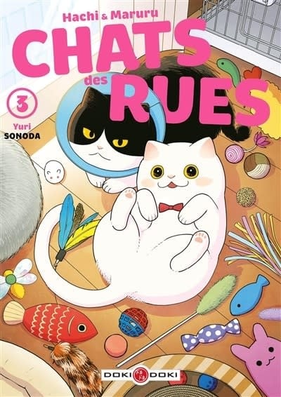 Doki Doki Manga - Hachi et Maruru Chats des rues Tome 03