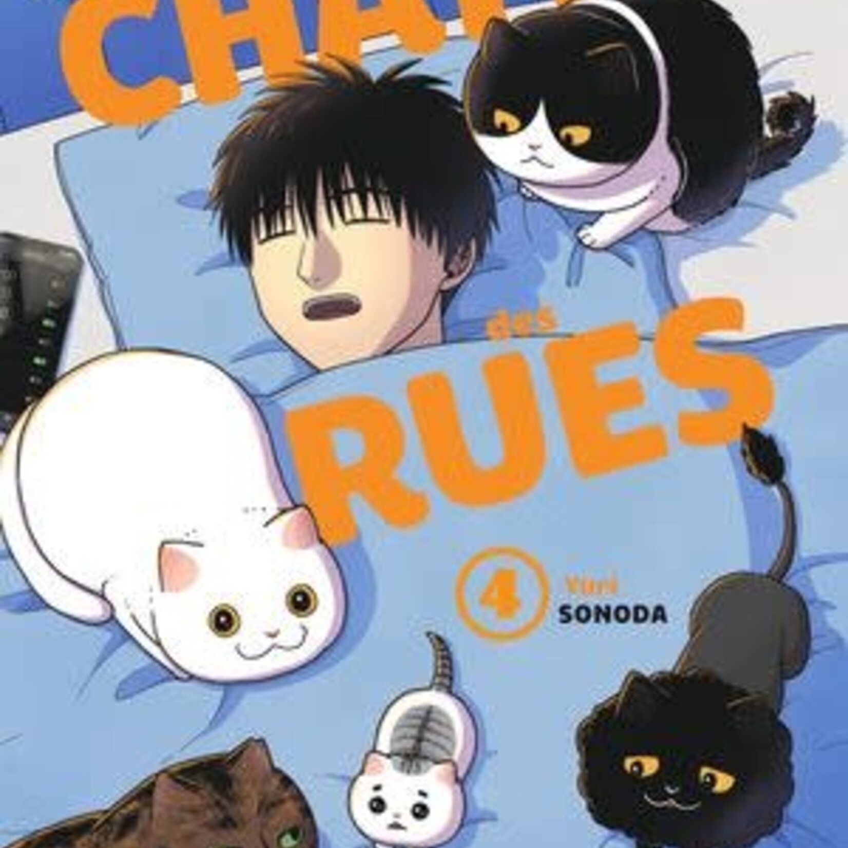 Doki Doki Manga - Hachi et Maruru Chats des rues Tome 04