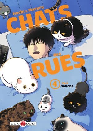 Doki Doki Manga - Hachi et Maruru Chats des rues Tome 04