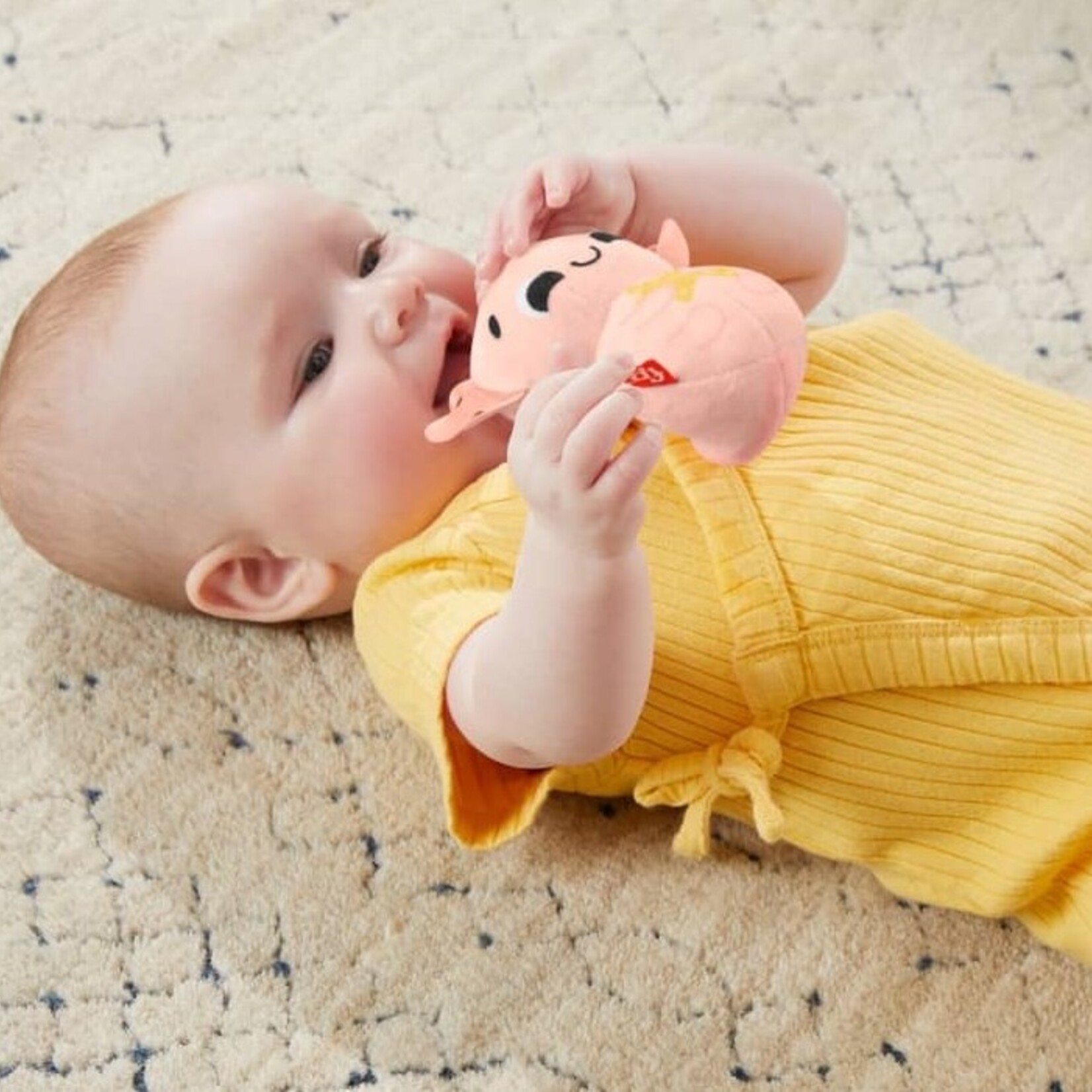 Fisher Price Fisher Price - Coffret cadeau - Le monde des sens