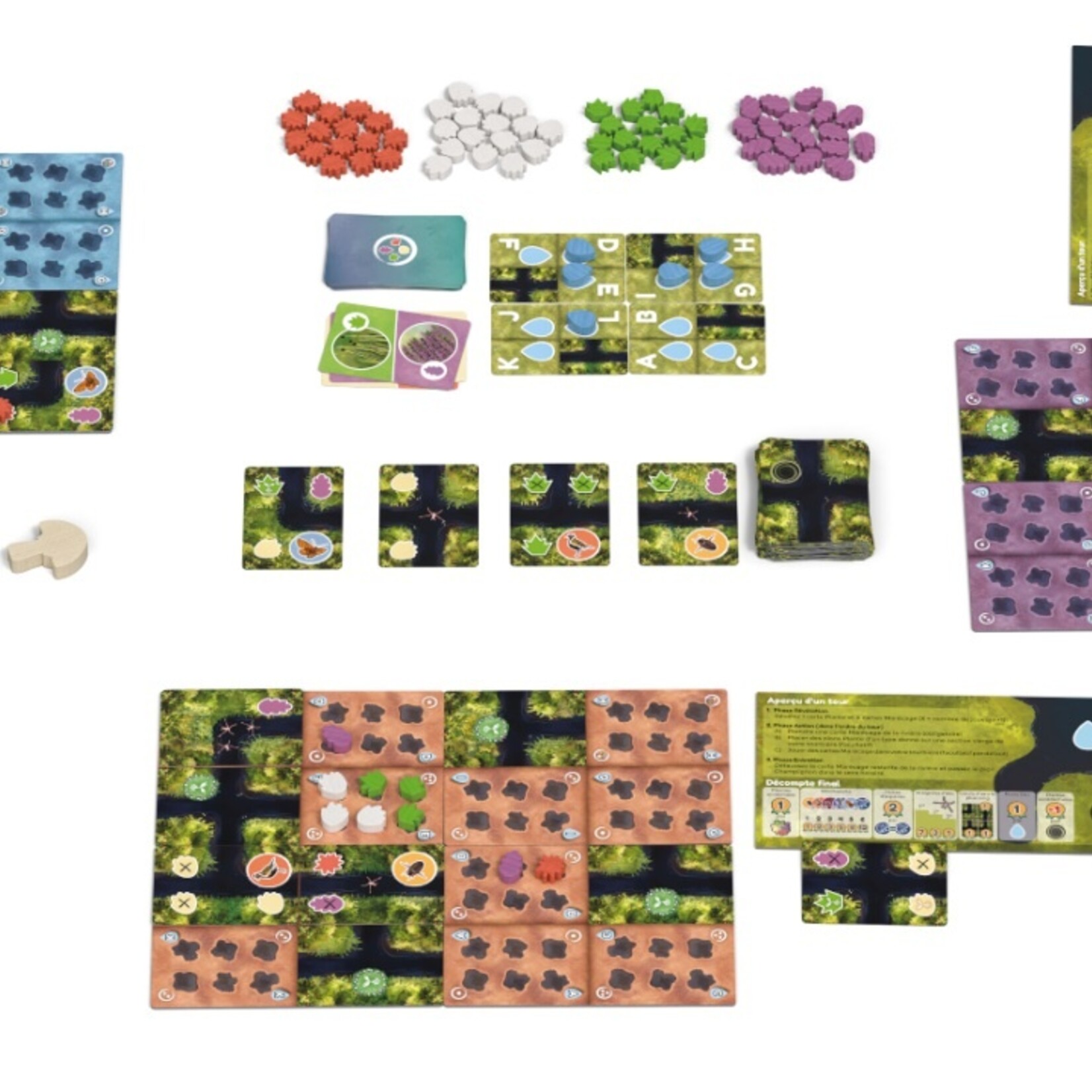 Gigamic Moorland (Sauvez les  tourbières)