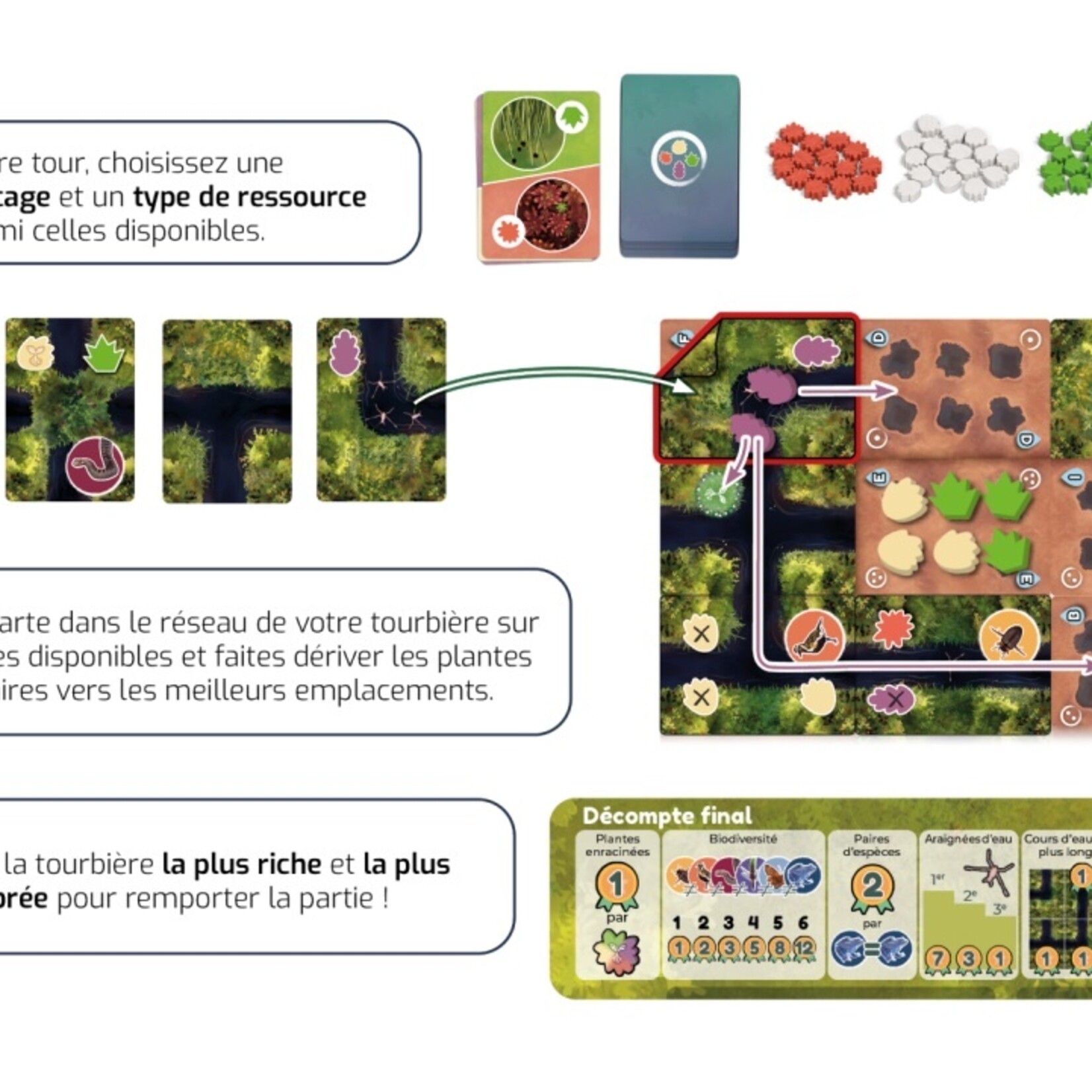 Gigamic Moorland (Sauvez les  tourbières)