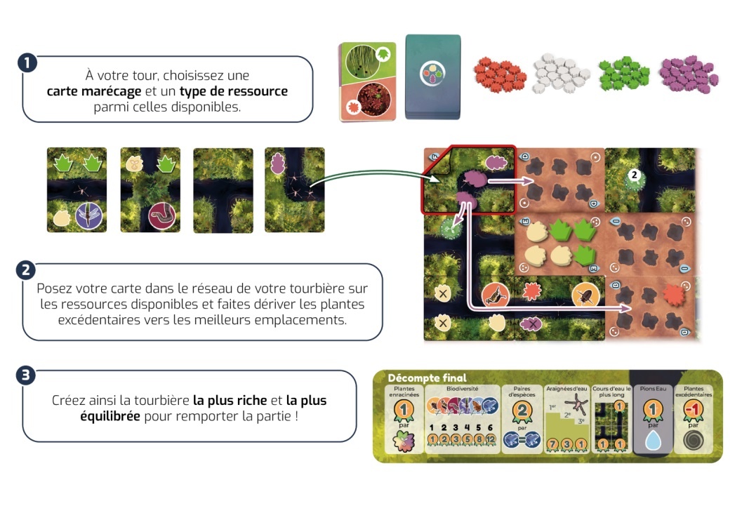 Gigamic Moorland (Sauvez les  tourbières)