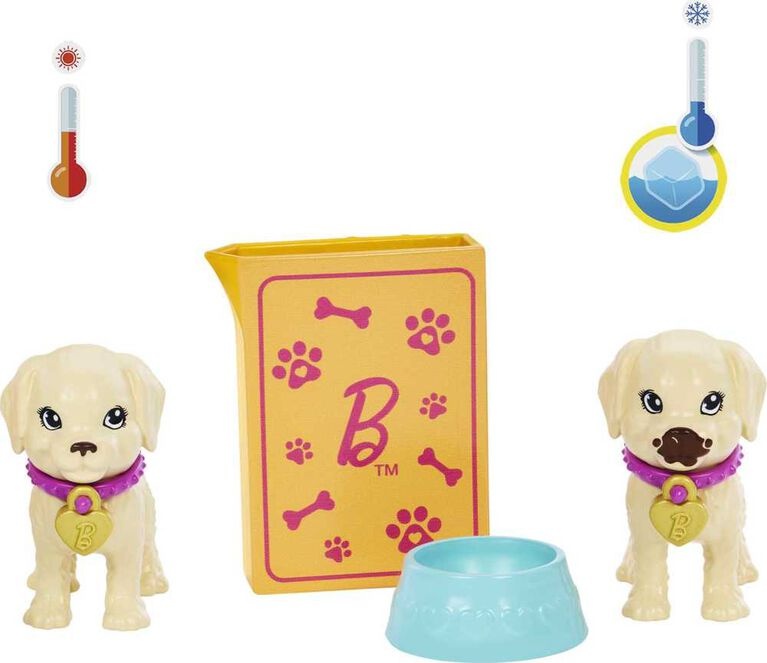 Mattel Barbie - Coffret de jeu adoption de chiots avec poupée
