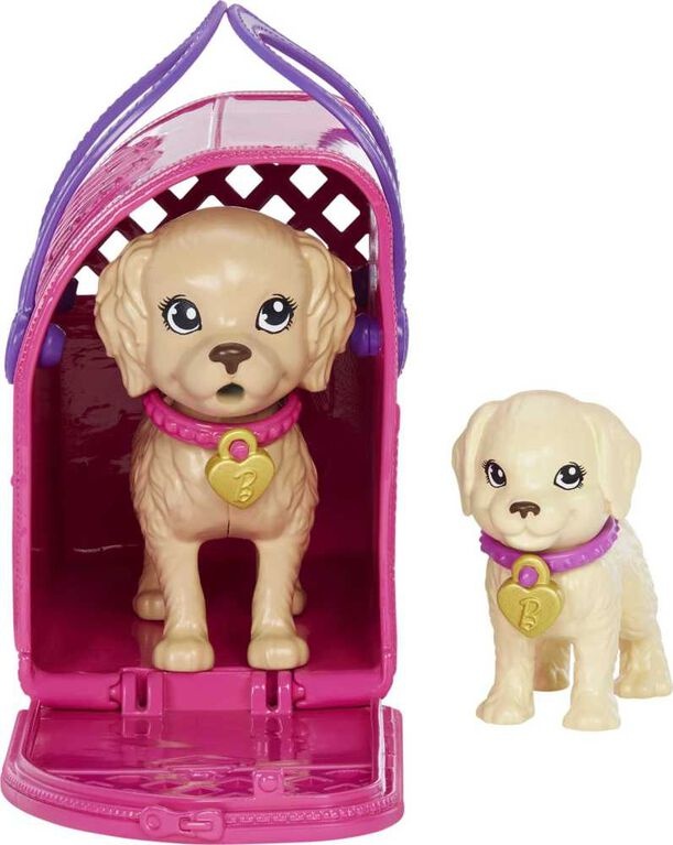 Mattel Barbie - Coffret de jeu adoption de chiots avec poupée