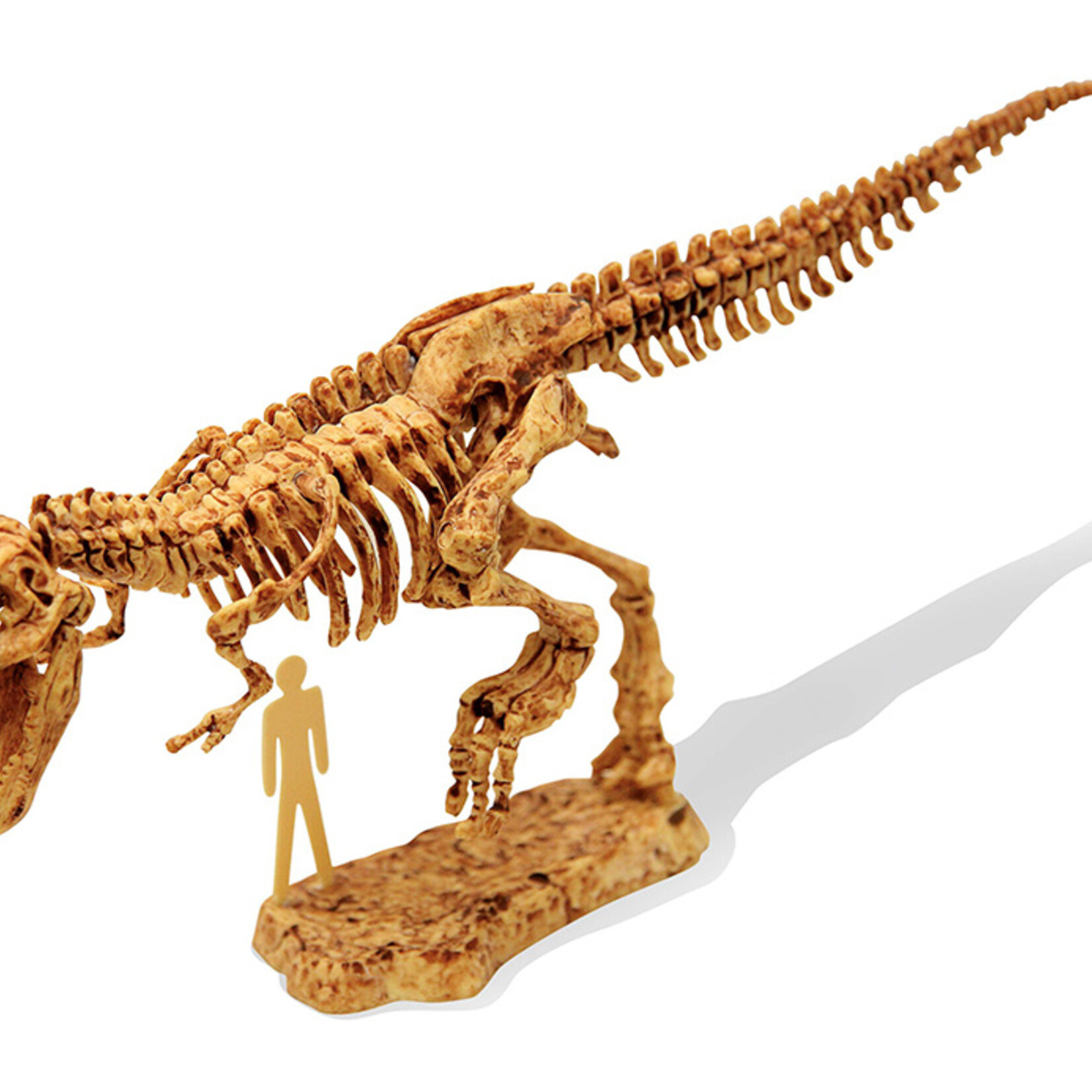 Buki Buki DinoKit déterre et réenterre