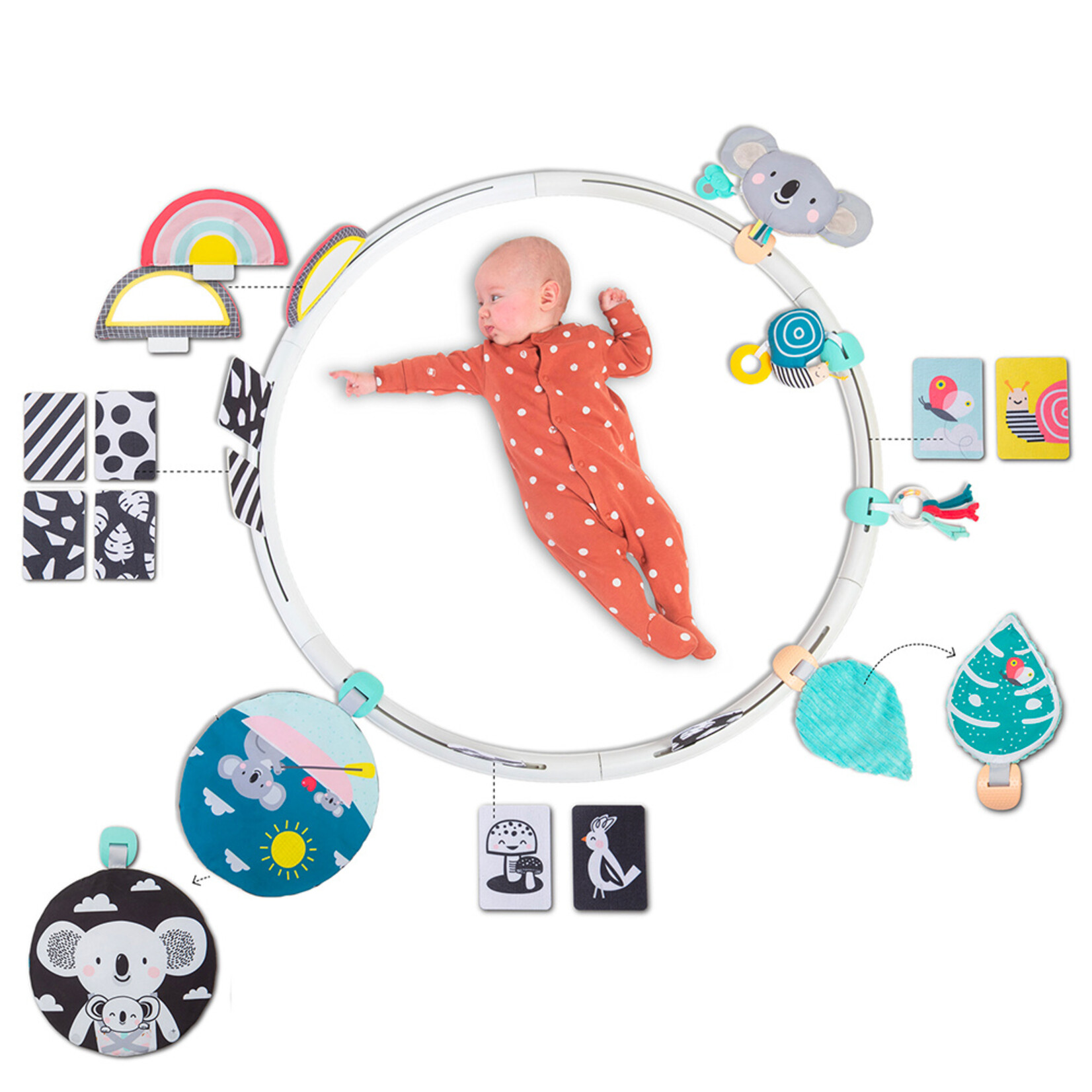 Taf Toys Taf Toys cerceau d'activités