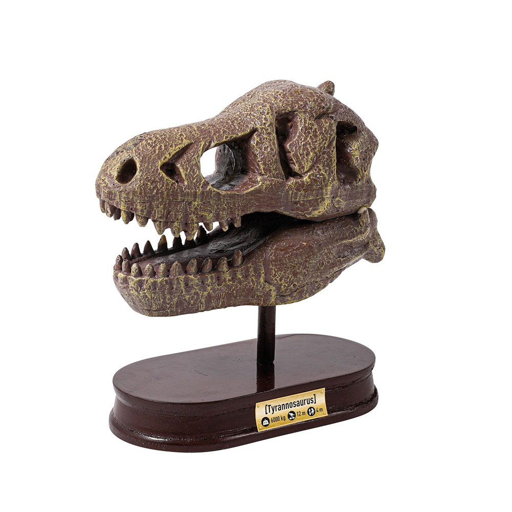 Buki Buki Museum Dino Skull Tyrannosaurus