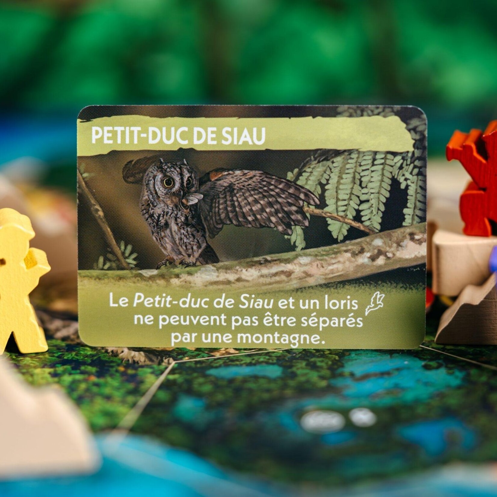 À la recherche des espèces disparus