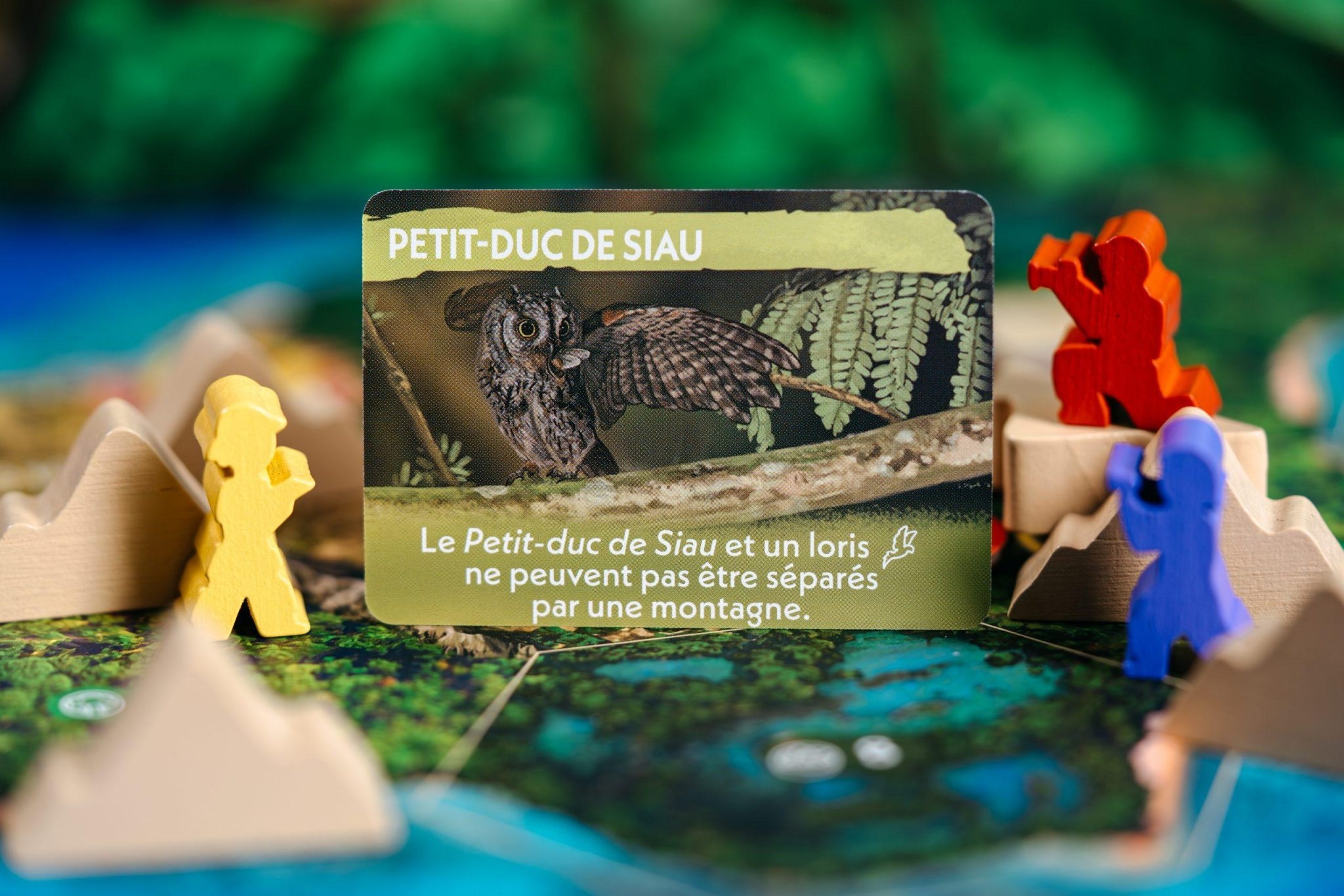 À la recherche des espèces disparus