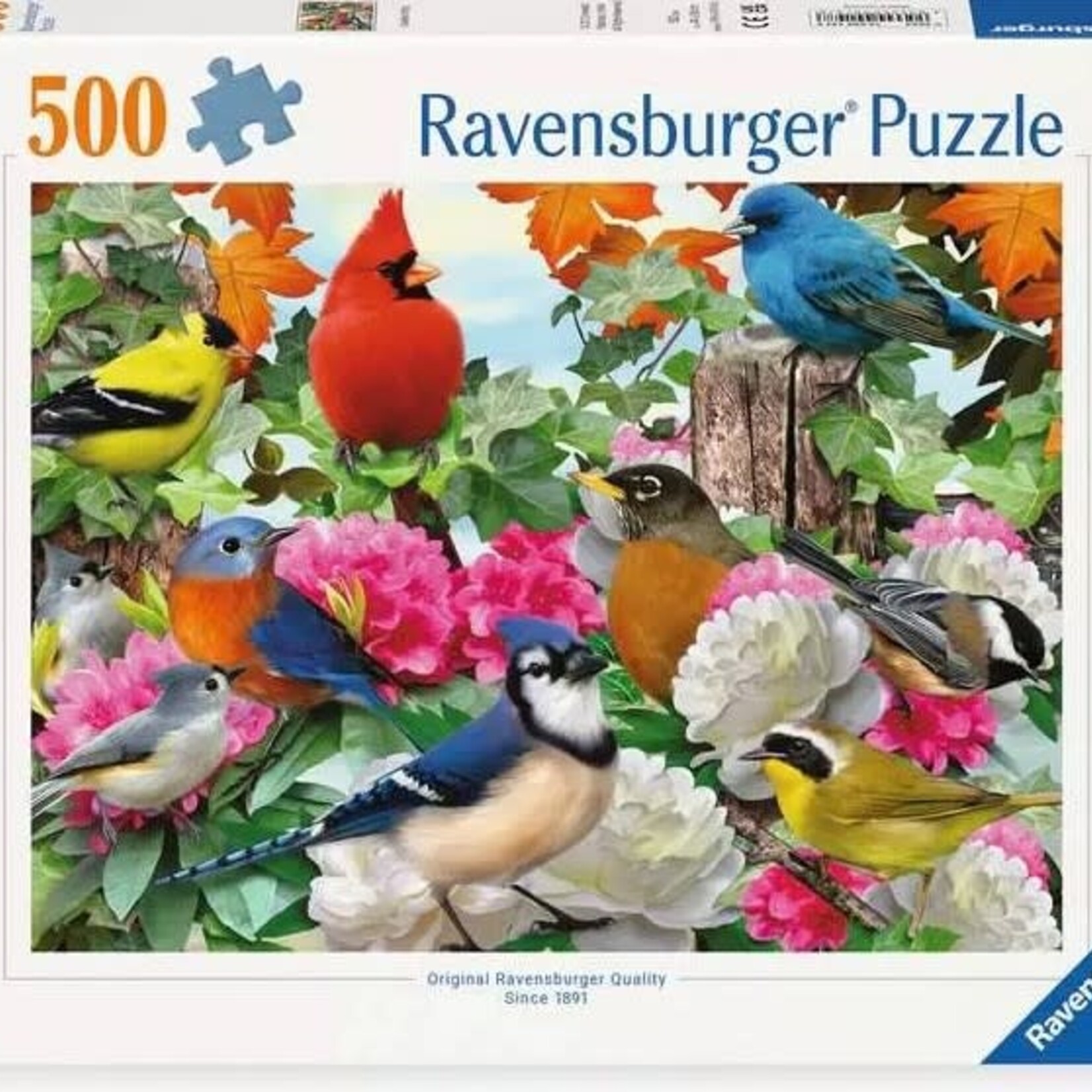 Ravensburger Ravens 500 - Garden Birds