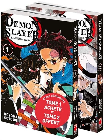 Panini Manga Manga - Demon Slayer Tome 01 + 02