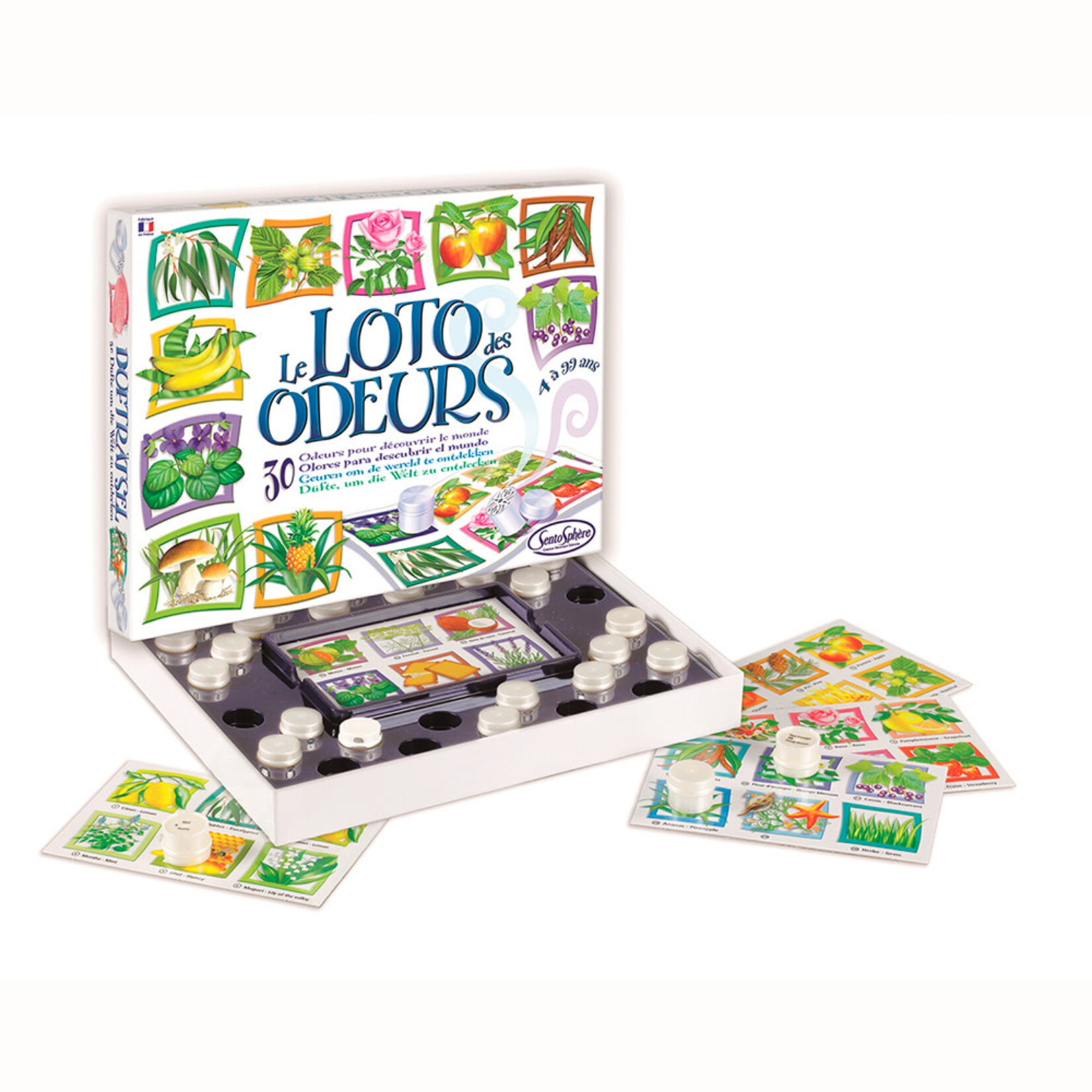 SentoSphere Le Loto des Odeurs - 30 odeurs pour découvrir le monde