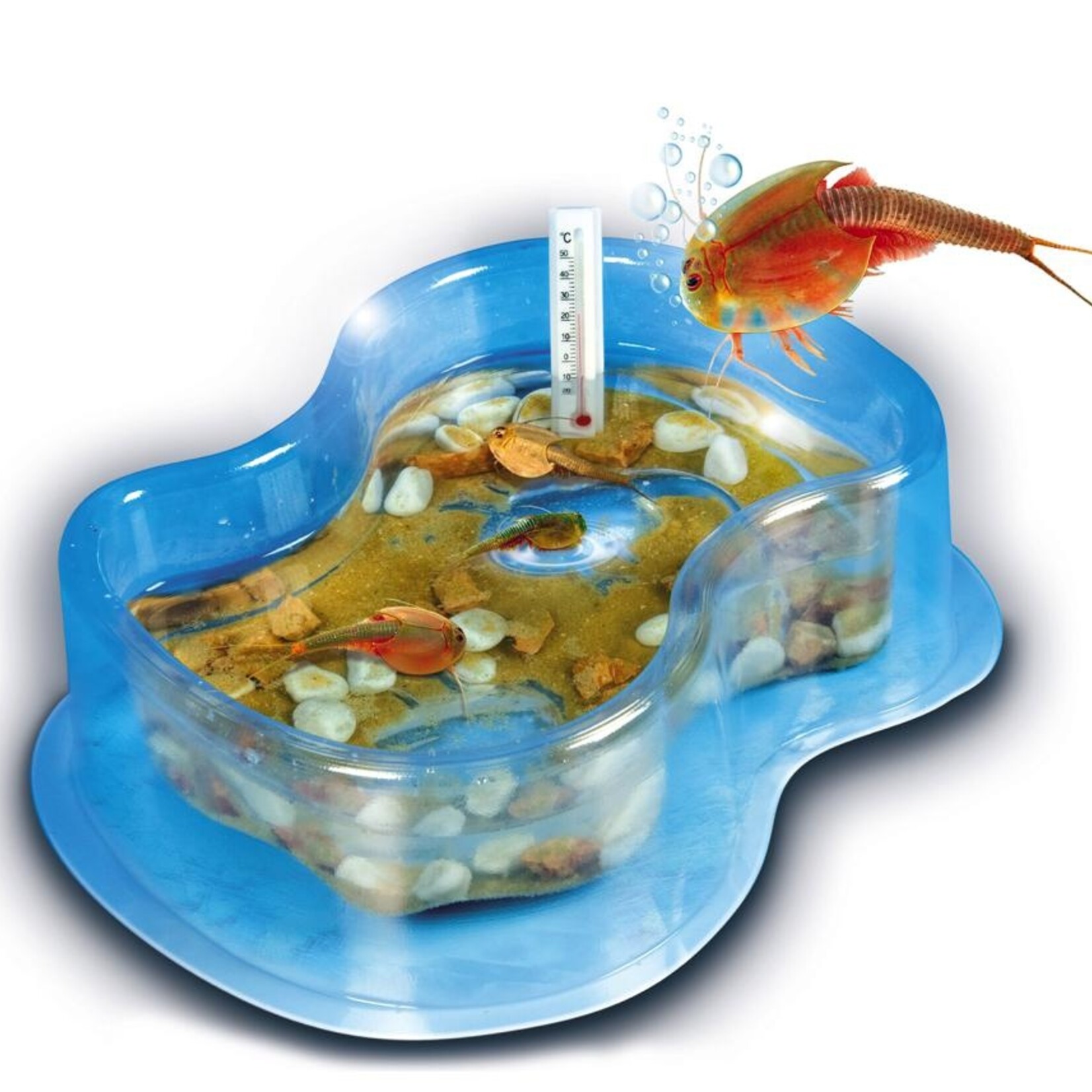 Clementoni Clementoni - Science & Jeu - Élève tes Triops