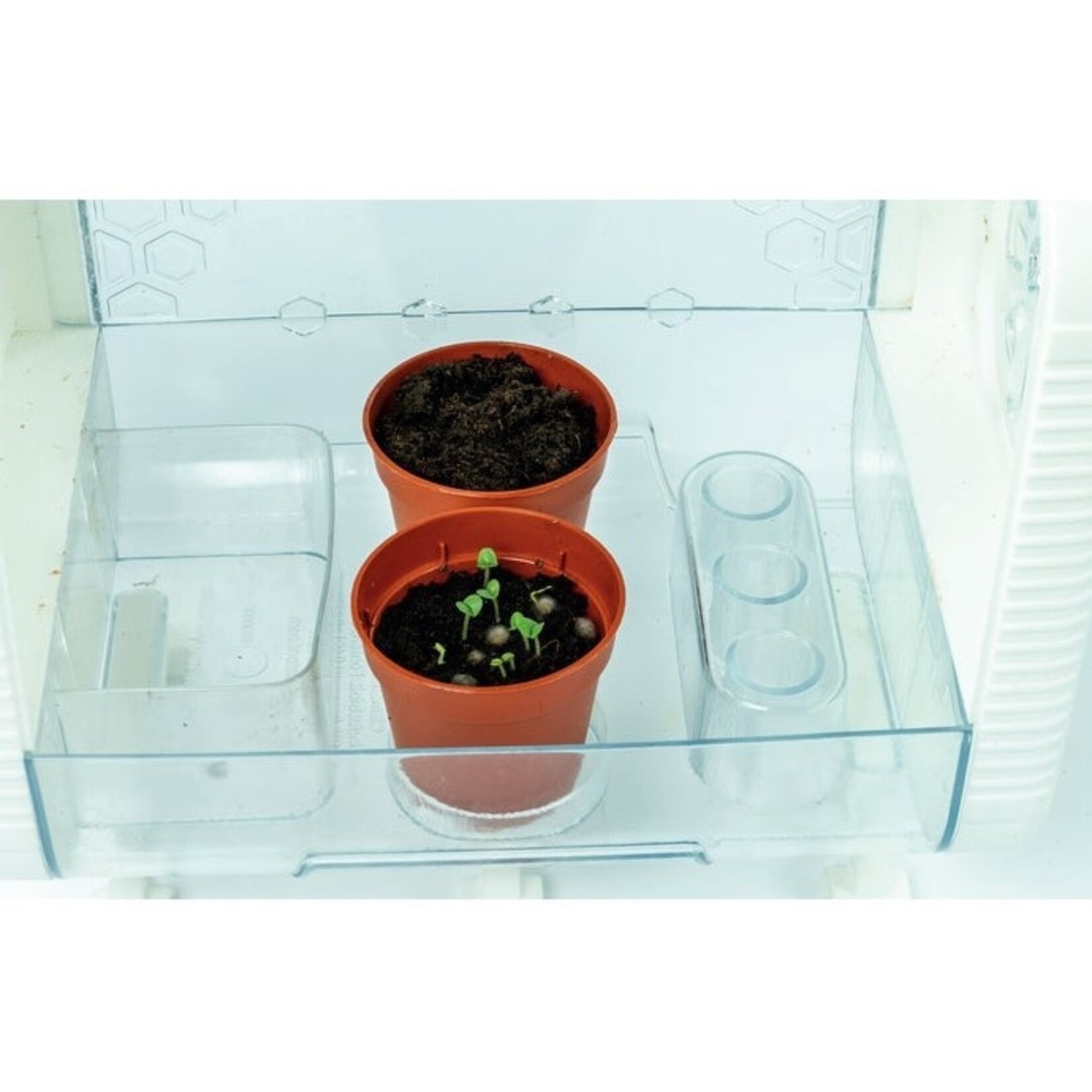 Clementoni Clementoni - Science & Jeu - Ma Serre High-Tech