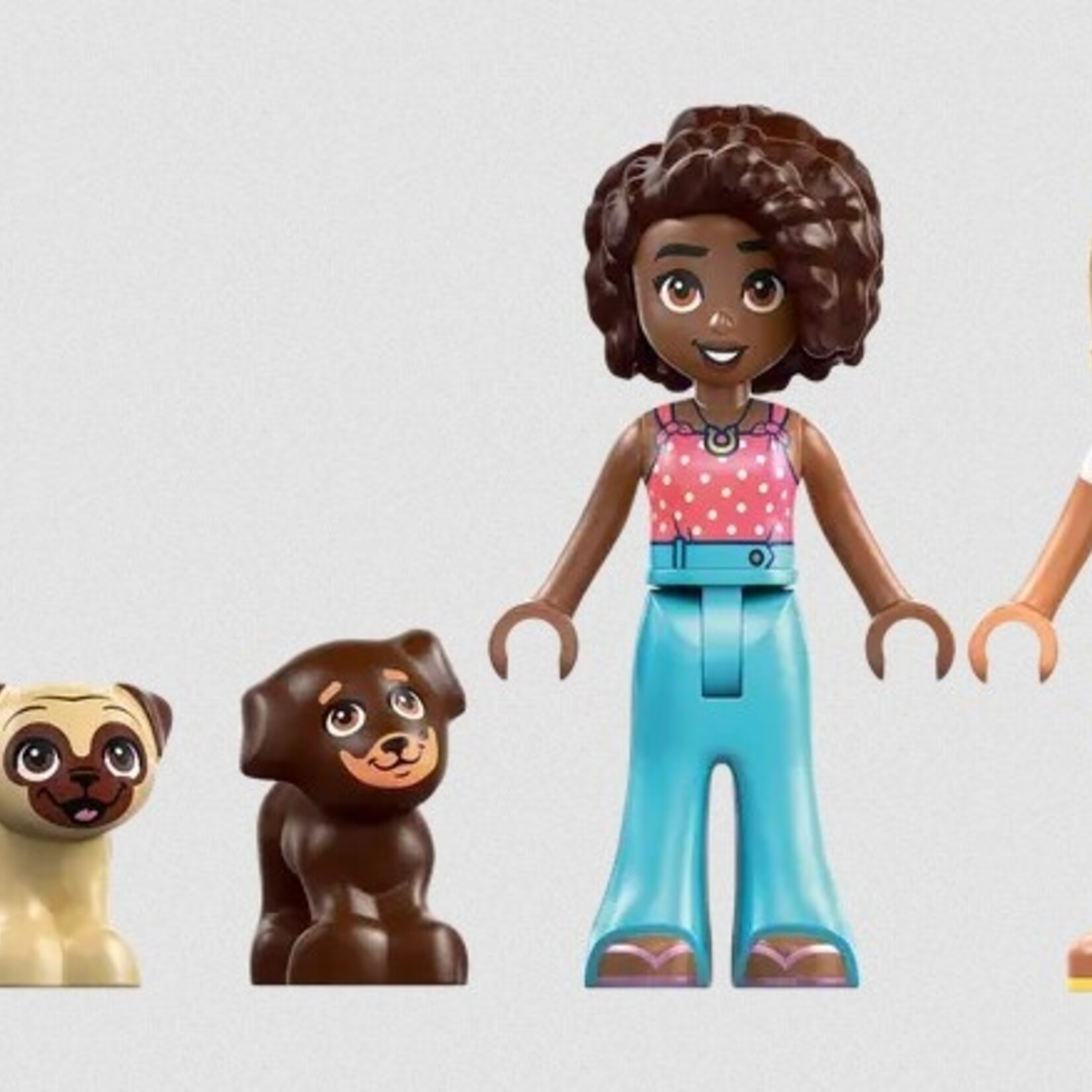 Lego Lego 42665 Friends - L’aire de jeux des chiots