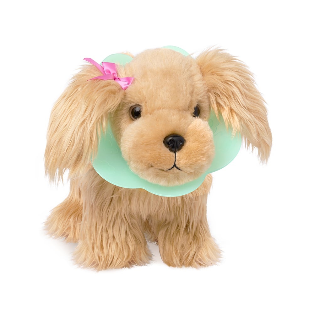 Pucci Pups Pucci Pups - Espagneul ensemble vétérinaire