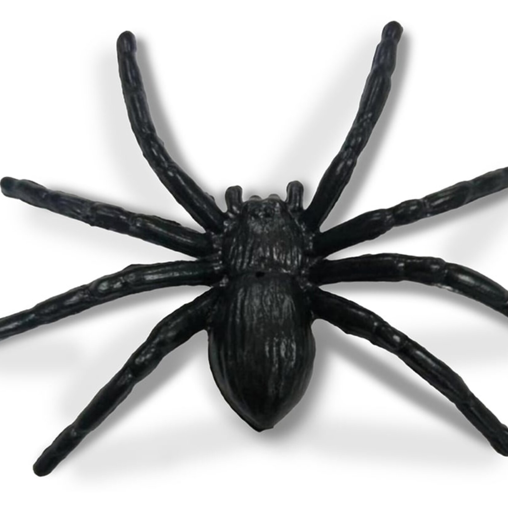 Gladius Willibed - Ensemble de 10 Farce et attrapes