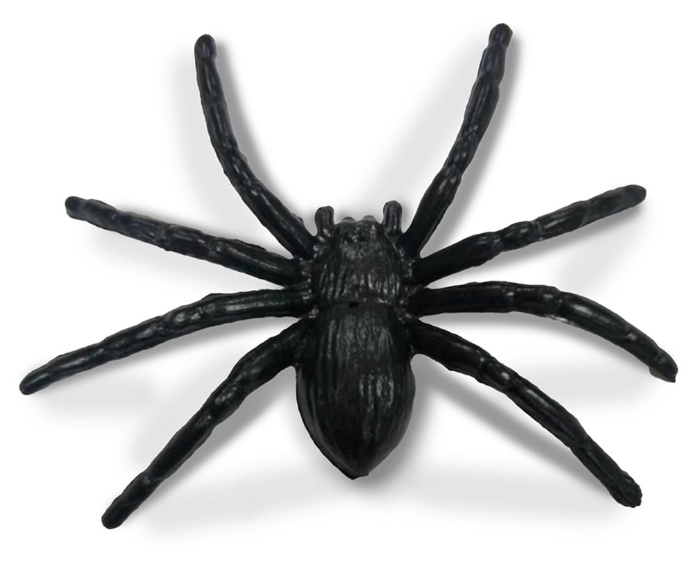 Gladius Willibed - Ensemble de 10 Farce et attrapes