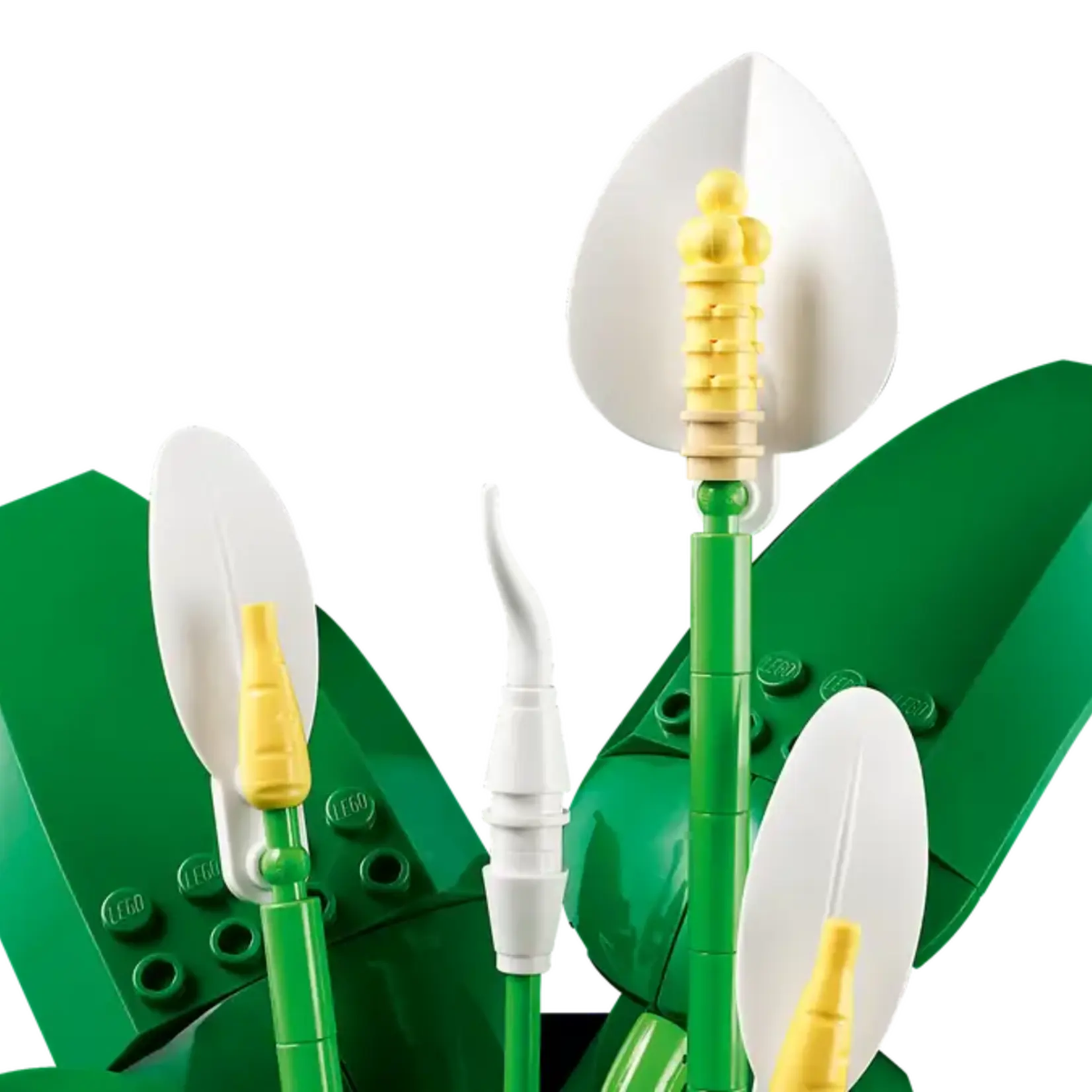 Lego Lego 11504 Botanical - La fleur de lune