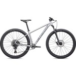 Specialized 2022 ROCKHOPPER EXPERT 29 SILVER DUST/BLACK Large