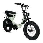 FATBOY HARLEM - V2 Sage Green