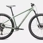 Specialized 2026 ROCKHOPPER COMP 29" GLOSS PISTACHIO/WHITE MOUNTAIIN Large
