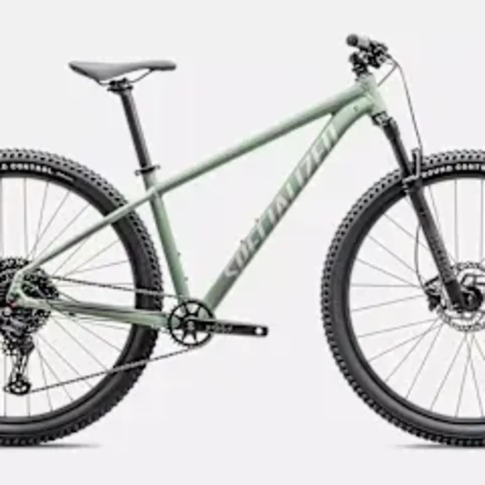 Specialized 2026 ROCKHOPPER COMP 29" GLOSS PISTACHIO/WHITE MOUNTAIIN Large